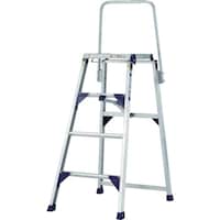 ACRZ@@ACR@܂肽ݎƑiZ[teB[K[htj@brePTOs`@P