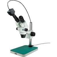 �z�[�U���@�g�n�y�`�m�@���̌������i�o�b�p�j�@�k�j�h�s�V�W�S�@�P��