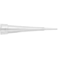 �T�[���t�B�b�V���[�@�`�r�@�`�b�v�@�s�P�O�S�q�r�p�@�@�@�@�@�@�@�@�@�U�Q�V�O�Q�S�U�W�@�P���i�X�U�O�{�j