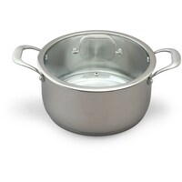 アイリスオーヤマ IRIS 522699 ステンレスシリーズ 両手なべ24cm ガラスふた付 SPP24 1個