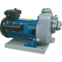 寺田 TERADA 陸上ポンプ セルプラポンプ 単相100V 全閉外扇屋外形モートル付 50Hz MP2N0021R50HZ 1台