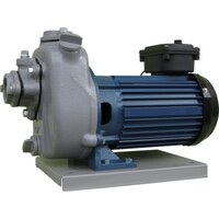 寺田 TERADA 陸上ポンプ セルプラポンプ 全閉外扇屋外形電動機付 60Hz 三相200 全揚程14m MPT10021TR60HZ 1台