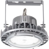 岩崎電気 岩崎 LED高天井灯 防水形 100W 広角 EHWP10014WNSAN9 1台