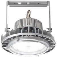 岩崎電気 岩崎 レディオックハイベイシータ80W EHWP08014WNSAN9 1台