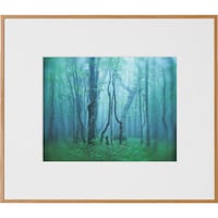 ケンコー・トキナー Kenko 1250153 アルミ額縁 ギャラリー 6切 ナチュラル AGY6NA AGY6NA 1枚