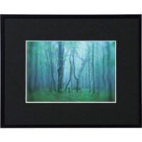 ケンコー・トキナー Kenko 1250127 アルミ額縁 ギャラリー 2L ブラック AGY2LBK AGY2LBK 1枚