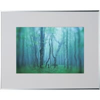 ケンコー・トキナー Kenko 1250143 アルミ額縁 ギャラリー W4切 シルバー AGYW4SV AGYW4SV 1枚