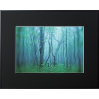 ケンコー・トキナー Kenko 1250131 アルミ額縁 ギャラリー W4切 ブラック AGYW4BK AGYW4BK 1枚