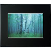 ケンコー・トキナー Kenko 1250136 アルミ額縁 ギャラリー A3 ブラック AGYA3BK