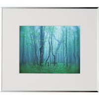 ケンコー・トキナー Kenko 1250141 アルミ額縁 ギャラリー 6切 シルバー AGY6SV AGY6SV 1枚