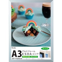 ケンコー・トキナー Kenko 1250191 ダイレクトフレーム ESOA(エソア) A3 シルバー ESA3SV