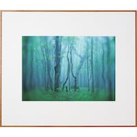 ケンコー・トキナー Kenko 1250160 アルミ額縁 ギャラリー A3 ナチュラル AGYA3NA