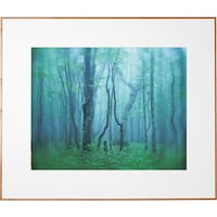 ケンコー・トキナー Kenko 1250157 アルミ額縁 ギャラリー 全紙 ナチュラル AGYZNA AGYZNA 1枚