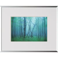 ケンコー・トキナー Kenko 1250139 アルミ額縁 ギャラリー 2L シルバー AGY2LSV