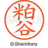 �V���`�n�^�@�V���`�n�^�@�l�[���U�@�����@���J