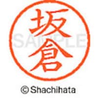 �V���`�n�^�@�V���`�n�^�@�l�[���U�@�����@��q