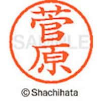 �V���`�n�^�@�V���`�n�^�@�l�[���U�@�����@����