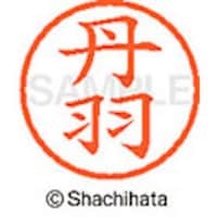 �V���`�n�^�@�V���`�n�^�@�l�[���U�@�����@�O�H