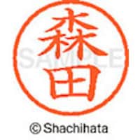 �V���`�n�^�@�V���`�n�^�@�l�[���U�@�����@�X�c