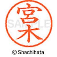 �V���`�n�^�@�V���`�n�^�@�l�[���U�@�����@�{��