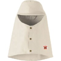 �A���I�J�@�l�����@�c�������@�h���n�ږX�i�c�o�t�j