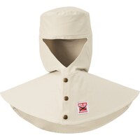 �A���I�J�@�l�����@�c�������@�h���n�ږX�i�c�o���j