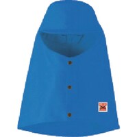 �A���I�J�@�l�����@�c�������@�h���n�ږX�i�c�o�t�j