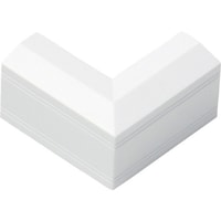 �}�T���H�Ɓ@�}�T���@�G�t���[���t���i�@�f�Y�~�@�Q���@�z���C�g