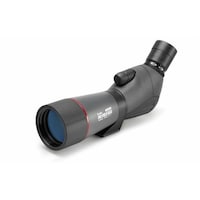 �P���R�[�E�g�L�i�[�@�j���������@�P�S�V�Q�V�X�@�v���t�B�[���h�K�C�A�X�Ό^