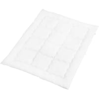 �A�C���X�I�[���}�@�h�q�h�r�@�P�O�Q�P�Q�U�@�ӂ���|���ӂƂ�@����@�Z�~�_�u���@�e�v�h�j�r�c�P�O�Q�P�Q�U�@�P��