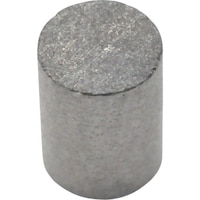 �}�O�i�@�l�`�f�m�`�@�T�}���E���R�o���g���΁@�ی^�@�R�Ӂ~�S�@�Q�P�O�R�S�@�P��