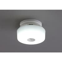 アイリスオーヤマ IRIS 249696 小型シーリングライト メタルサーキットシリーズ 600lm 人感センサー付 昼白色