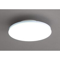 アイリスオーヤマ IRIS 572430 小型シーリングライト 薄形 2000lm 昼光色