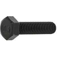 �T���R�[�@�r�t�m�b�n�@�@�P�O�D�X�@�Z�p�{���g�@�S�˂��i���˂��@�W�@�w�@�Q�T�@�i�P�{���j