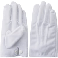 ���c���쏊�@���c�@�瑕�p�h���h����܁@�r