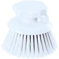 �����@�^�J�T�S�@�g�o�n���h�u���V�@�ی^�@��