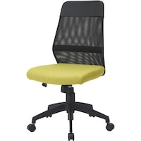 �i�J�o���V�@�i�J�o���V�@���b�V���o�b�N�`�F�A�@�O���[��