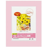 ナカバヤシ ナカバヤシ カラーVカット台紙2L判/ピンク/V DGVM2LPV 1冊