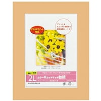 ナカバヤシ ナカバヤシ カラーVカット台紙2L判/オレンジ/V DGVM2LOV 1冊