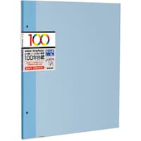 ナカバヤシ ナカバヤシ 100年台紙フリー替台紙 ビス式用 Lサイズ ブルー HLFR5B 1冊
