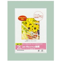 ナカバヤシ ナカバヤシ カラーVカット台紙2L判/グリーン/V DGVM2LGV 1冊