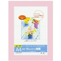 ナカバヤシ ナカバヤシ カラーVカット台紙A4判/ピンク/V DGVMA4PV 1冊