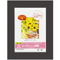 ナカバヤシ ナカバヤシ カラーVカット台紙2L判/ブラック/V DGVM2LDV 1冊