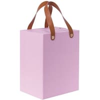 ナカバヤシ ナカバヤシ ライフスタイルツール 収納カバン ピンク LSTSK01PI 1個