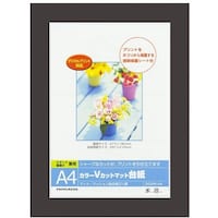 ナカバヤシ ナカバヤシ カラーVカット台紙A4判/ブラック DGVMA4DV 1冊