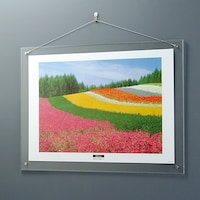 ナカバヤシ ナカバヤシ アクリルクリアフレーム/ハンギングタイプ/A2 ACHA2 1枚