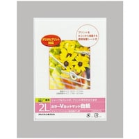 ナカバヤシ ナカバヤシ カラーVカット台紙2L判/グレー/V DGVM2LNV 1冊