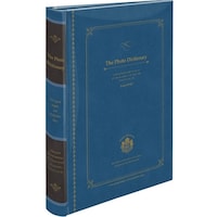 ナカバヤシ ナカバヤシ ブック式Pアルバム240/デイクシヨナリ/ブル BPL2402B 1冊