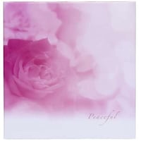 �i�J�o���V�@�i�J�o���V�@�k�T�C�Y�v���R�[�g�䎆���P�O���t�����@�k�o�e�P�O�O�T�@�P��