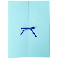 ナカバヤシ ナカバヤシ 証書ファイル観音開きリボン付きA4ピンク FSKA4P 1冊